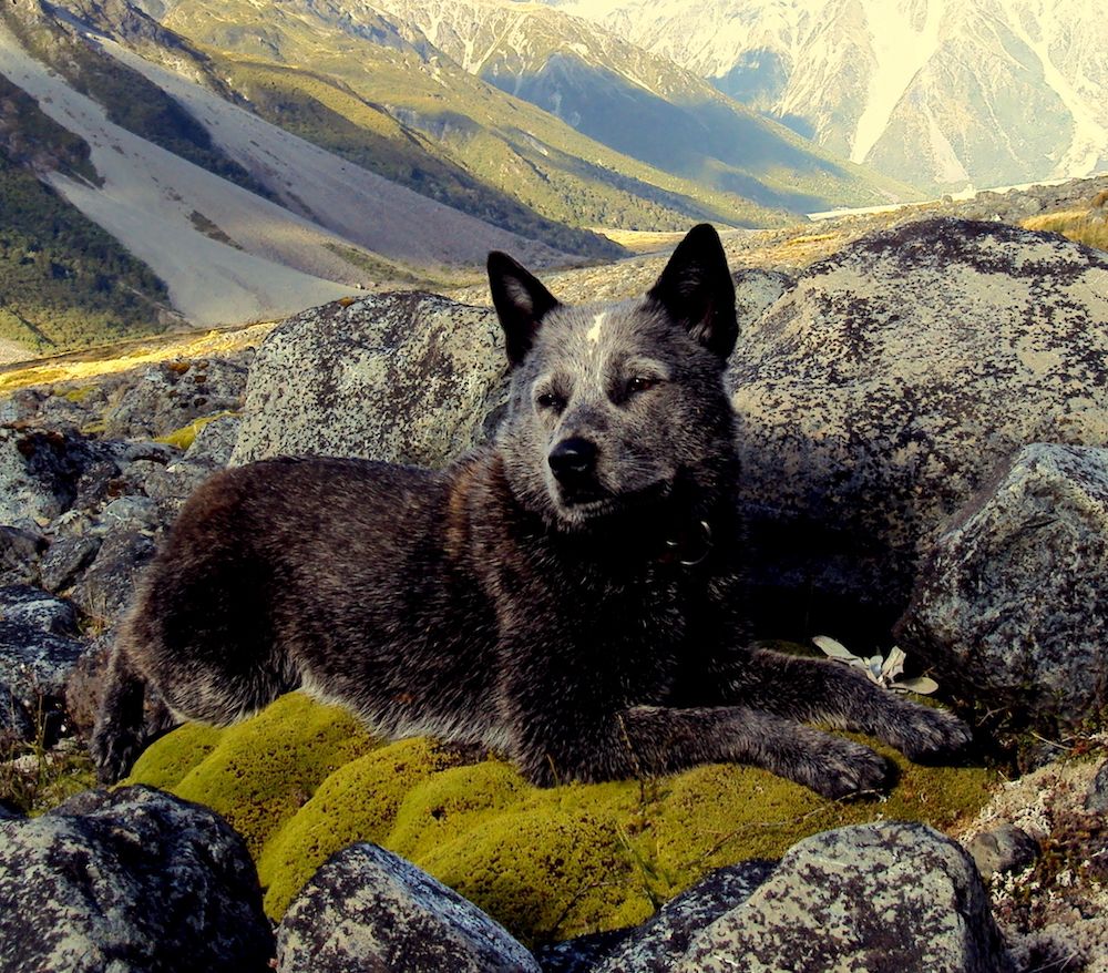 The Gossip Column: April 28, 2023